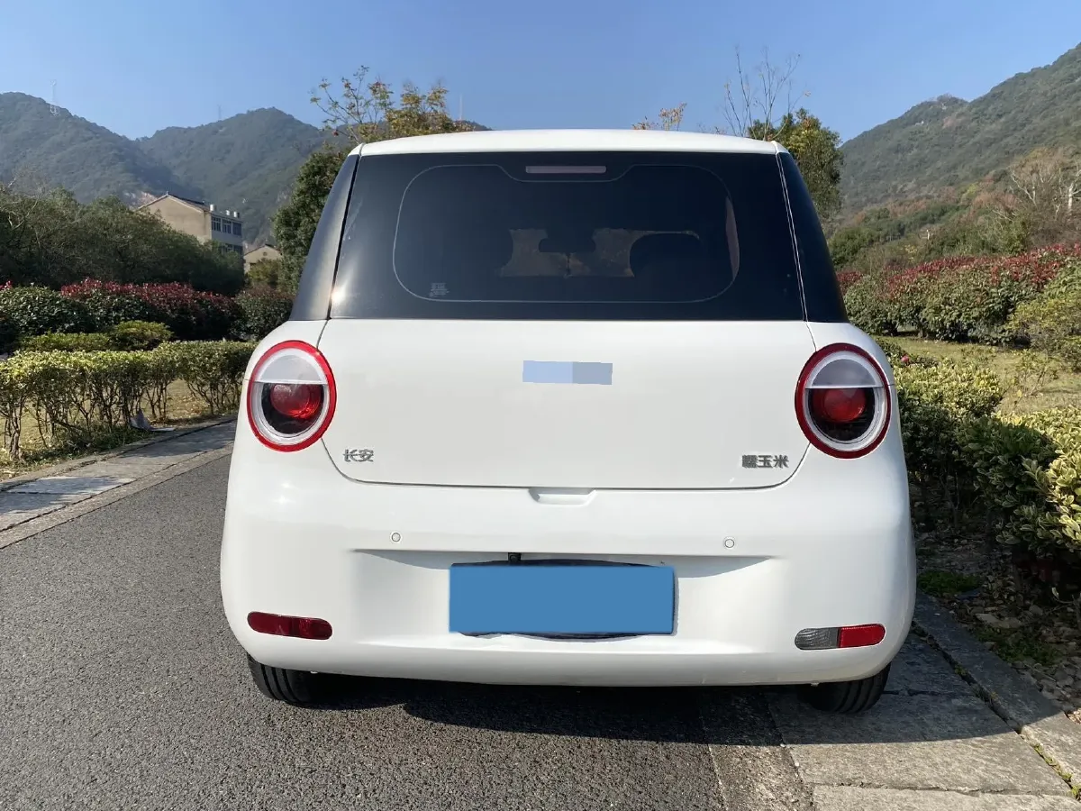 2023 ChangAn QiYuan Lumin BEV 17.65KWH,autocango,china used car exporter,china ev exporter,chinese used car exporter,chinese used ev exporter