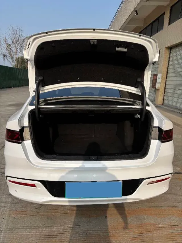 2021 DongFeng FuKang e Elysee BEV 38.4KWH,autocango,china used car exporter,china ev exporter,chinese used car exporter,chinese used ev exporter