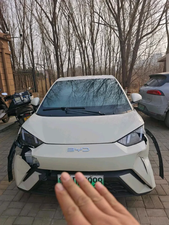 2023 BYD Seagull BEV 30.08KWH,autocango,china used car exporter,china ev exporter,chinese used car exporter,chinese used ev exporter