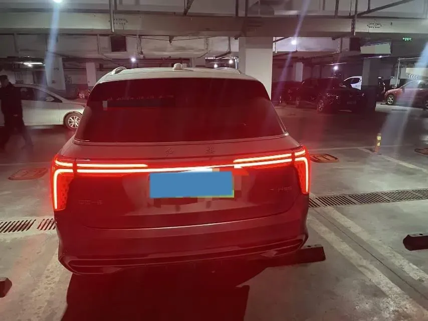 2021 HongQi E-HS9 BEV 99KWH,autocango,china used car exporter,china ev exporter,chinese used car exporter,chinese used ev exporter