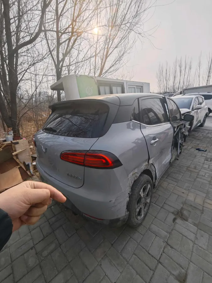 2024 WuLing BinGuoPLUS BEV 50.6KWH,autocango,china used car exporter,china ev exporter,chinese used car exporter,chinese used ev exporter