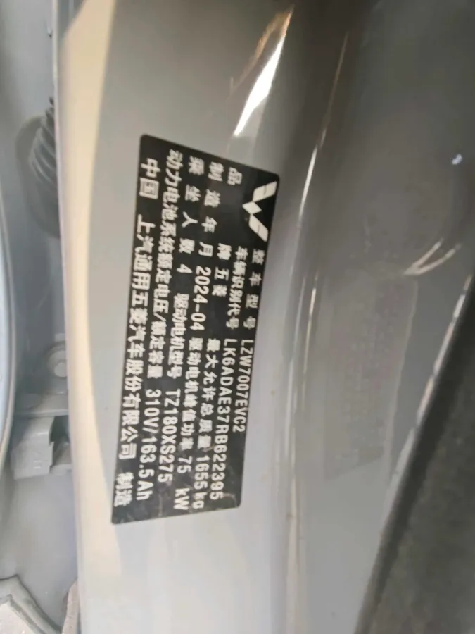 2024 WuLing BinGuoPLUS BEV 50.6KWH,autocango,china used car exporter,china ev exporter,chinese used car exporter,chinese used ev exporter