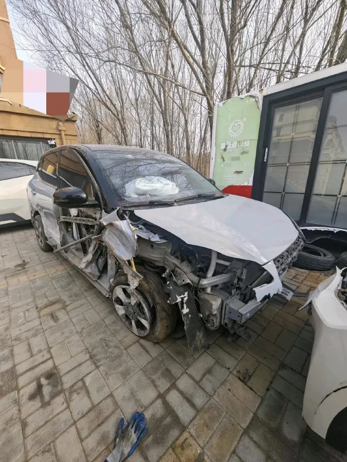 2024 WuLing BinGuoPLUS BEV 50.6KWH,autocango,china used car exporter,china ev exporter,chinese used car exporter,chinese used ev exporter