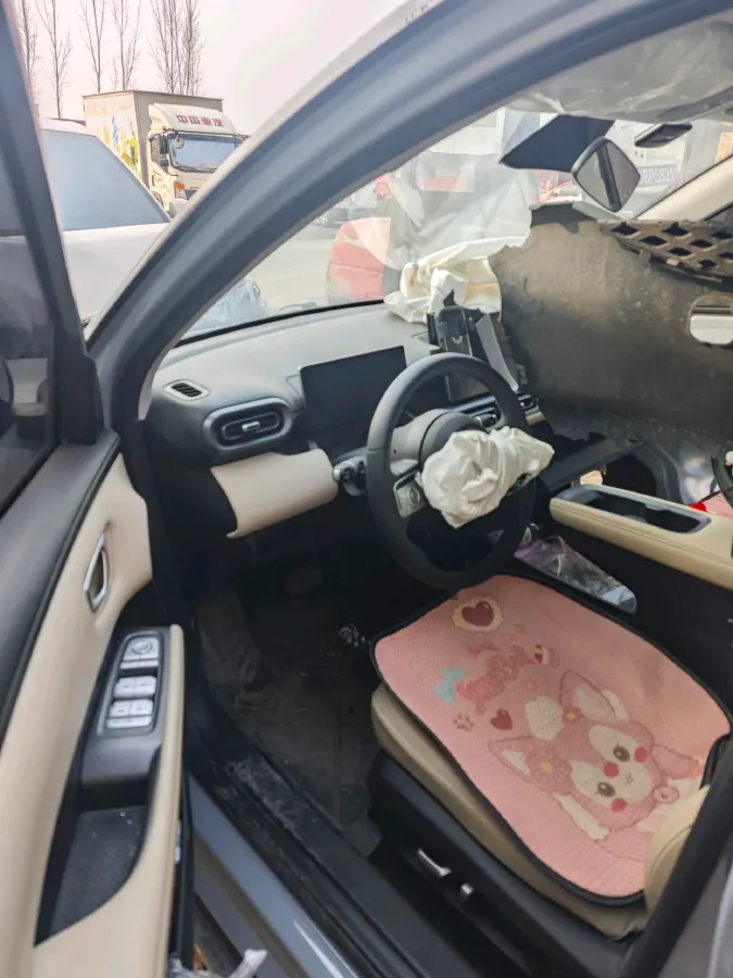 2024 WuLing BinGuoPLUS BEV 50.6KWH,autocango,china used car exporter,china ev exporter,chinese used car exporter,chinese used ev exporter