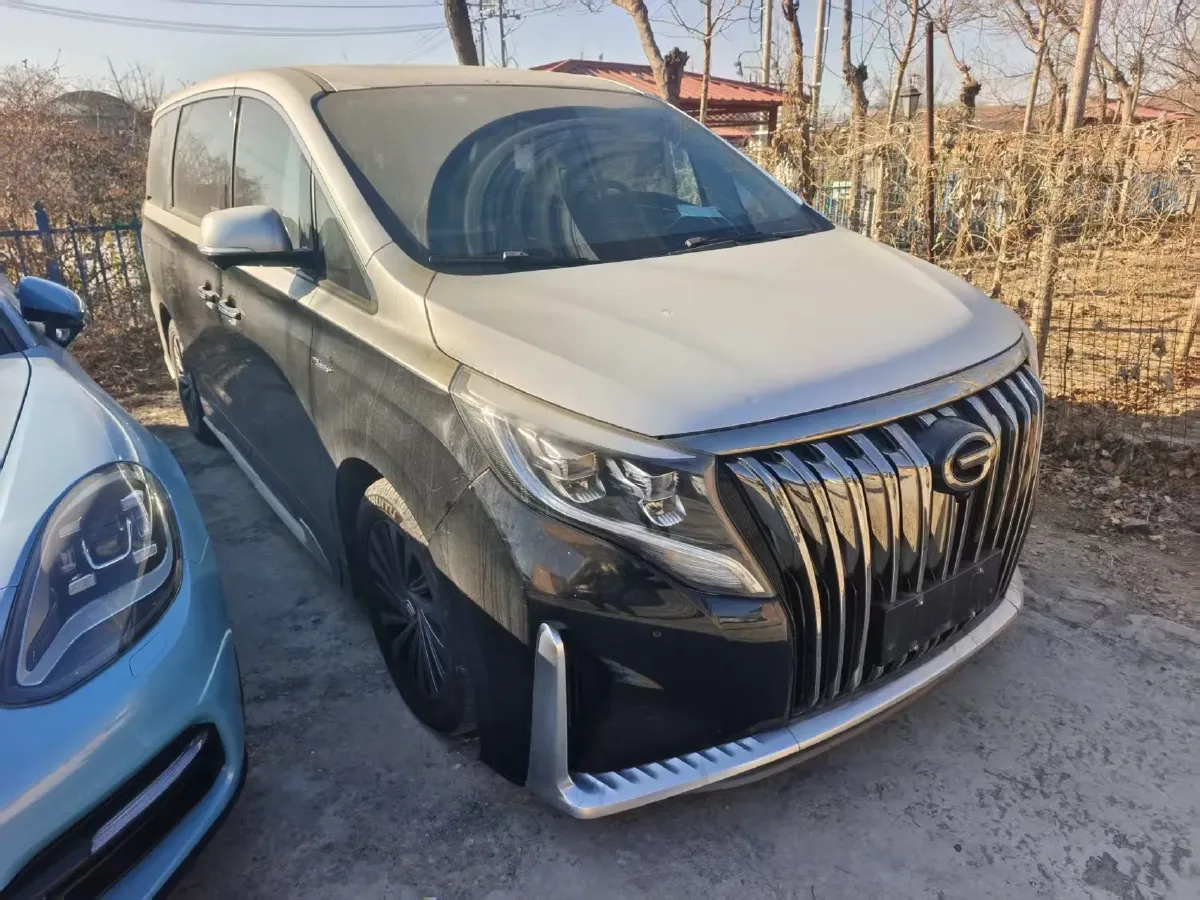 2021 GAC Trumpchi M8 2.0T 252HP L4 8AT,autocango,china used car exporter,china ev exporter,chinese used car exporter,chinese used ev exporter