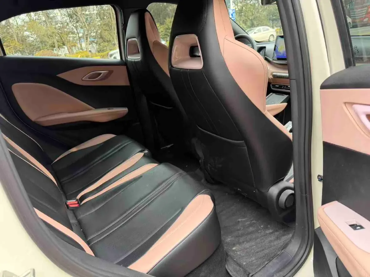 2024 BYD Seagull BEV 30.08KWH,autocango,china used car exporter,china ev exporter,chinese used car exporter,chinese used ev exporter