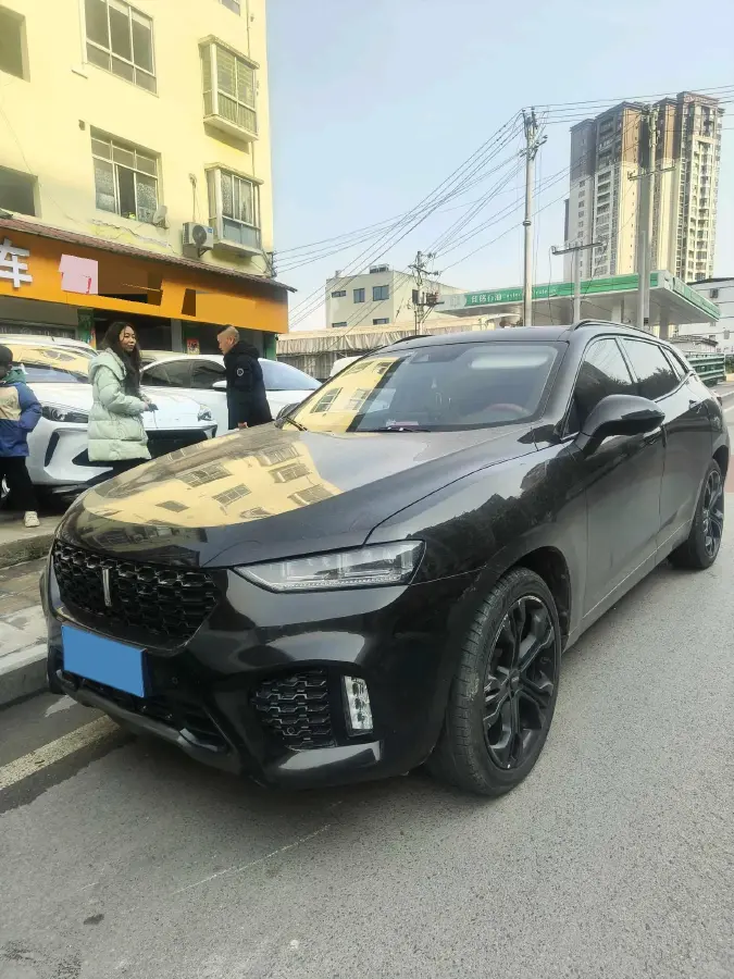 2017 WEY VV7 2.0T 234HP L4 7DCT