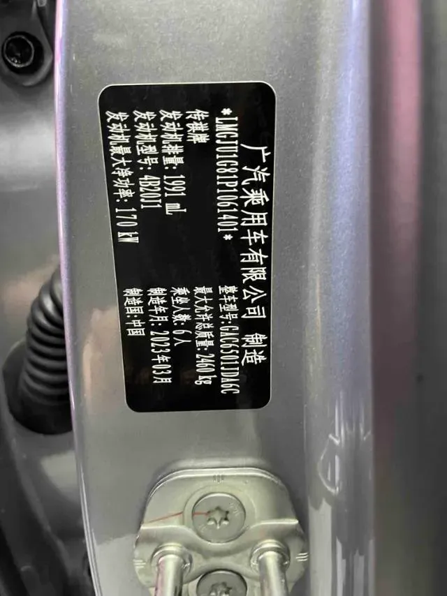 2022 GAC Trumpchi GS8 2.0T 252HP L4 8AT,autocango,china used car exporter,china ev exporter,chinese used car exporter,chinese used ev exporter