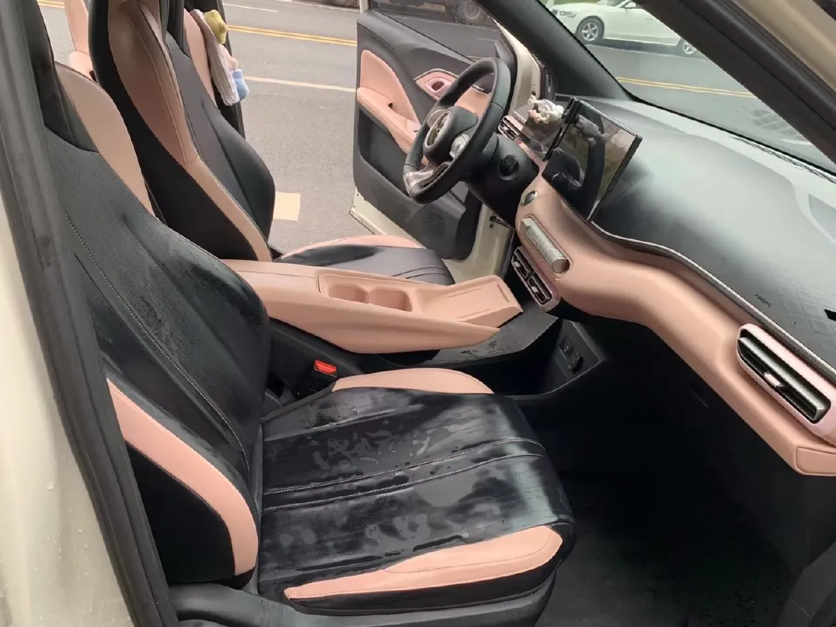 2024 BYD Seagull BEV 30.08KWH,autocango,china used car exporter,china ev exporter,chinese used car exporter,chinese used ev exporter