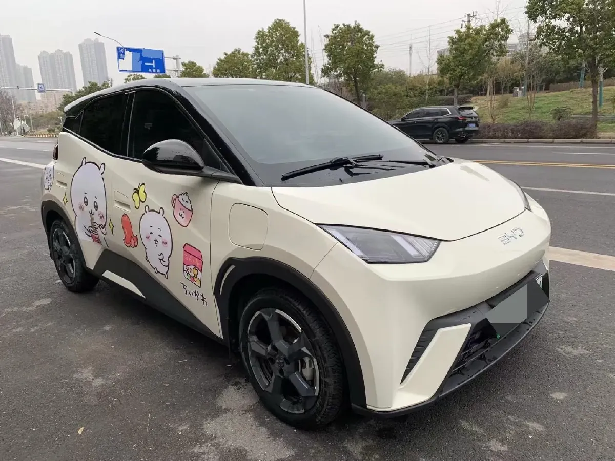 2024 BYD Seagull BEV 30.08KWH,autocango,china used car exporter,china ev exporter,chinese used car exporter,chinese used ev exporter