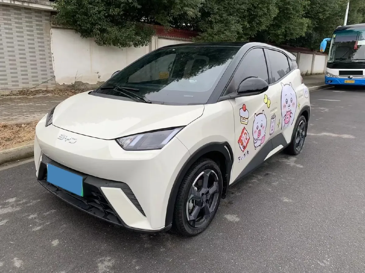 2024 BYD Seagull BEV 30.08KWH,autocango,china used car exporter,china ev exporter,chinese used car exporter,chinese used ev exporter