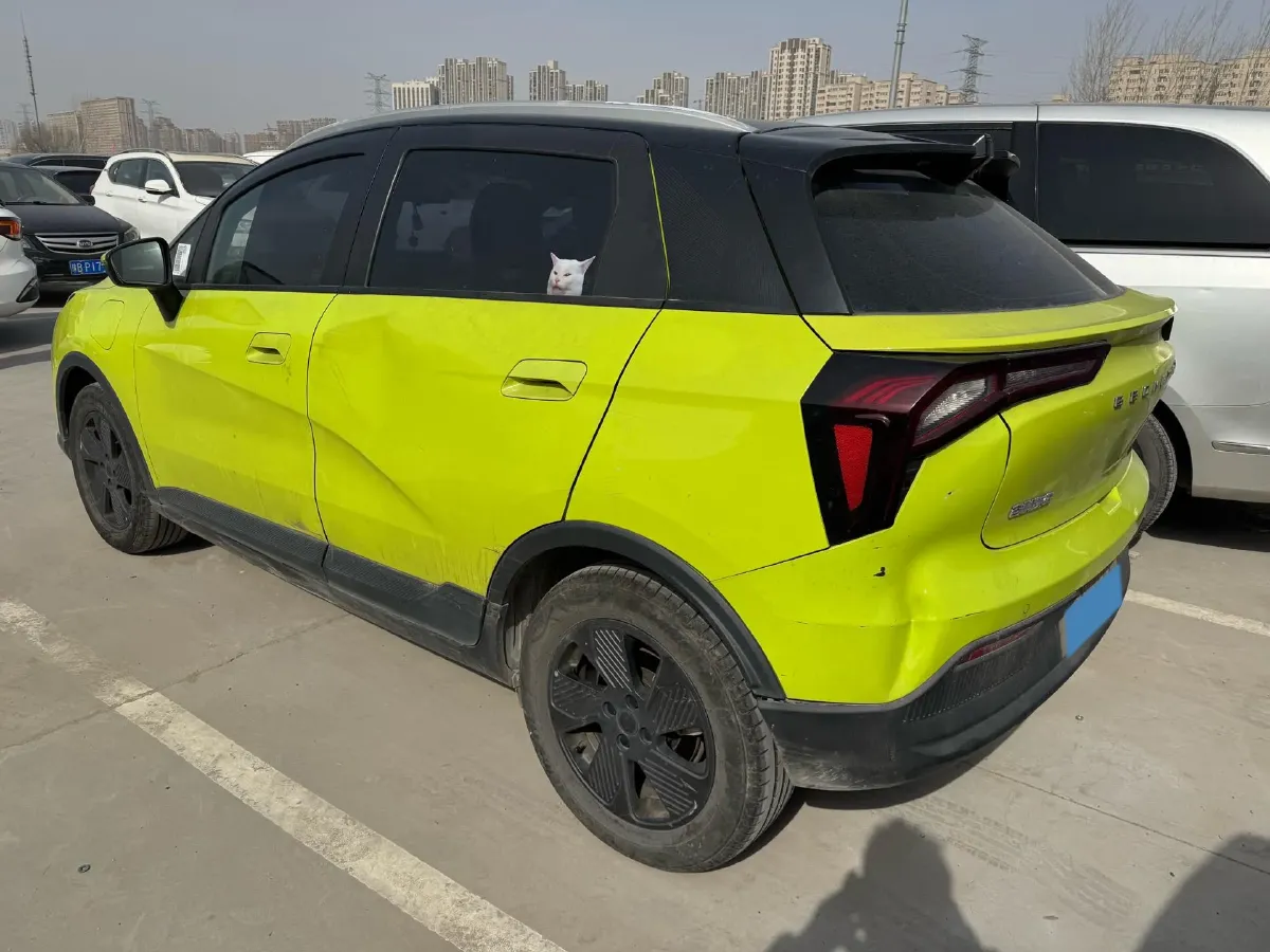 2022 Geometry E BEV 39.4KWH,autocango,china used car exporter,china ev exporter,chinese used car exporter,chinese used ev exporter