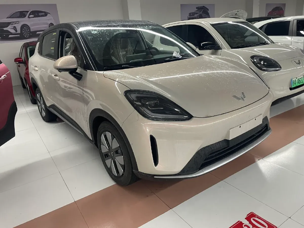 2025 WuLing BinGuo BEV,autocango,china used car exporter,china ev exporter,chinese used car exporter,chinese used ev exporter