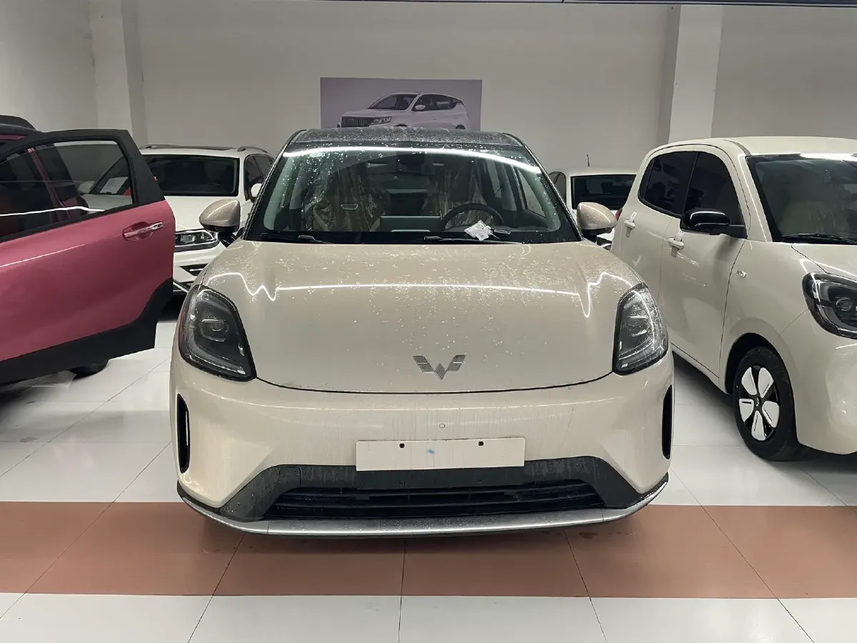 2025 WuLing BinGuo BEV,autocango,china used car exporter,china ev exporter,chinese used car exporter,chinese used ev exporter
