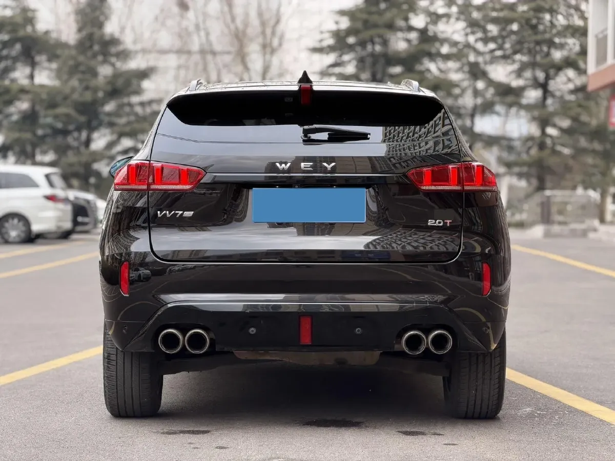 2019 WEY VV7 2.0T 234HP L4 7DCT,autocango,china used car exporter,china ev exporter,chinese used car exporter,chinese used ev exporter