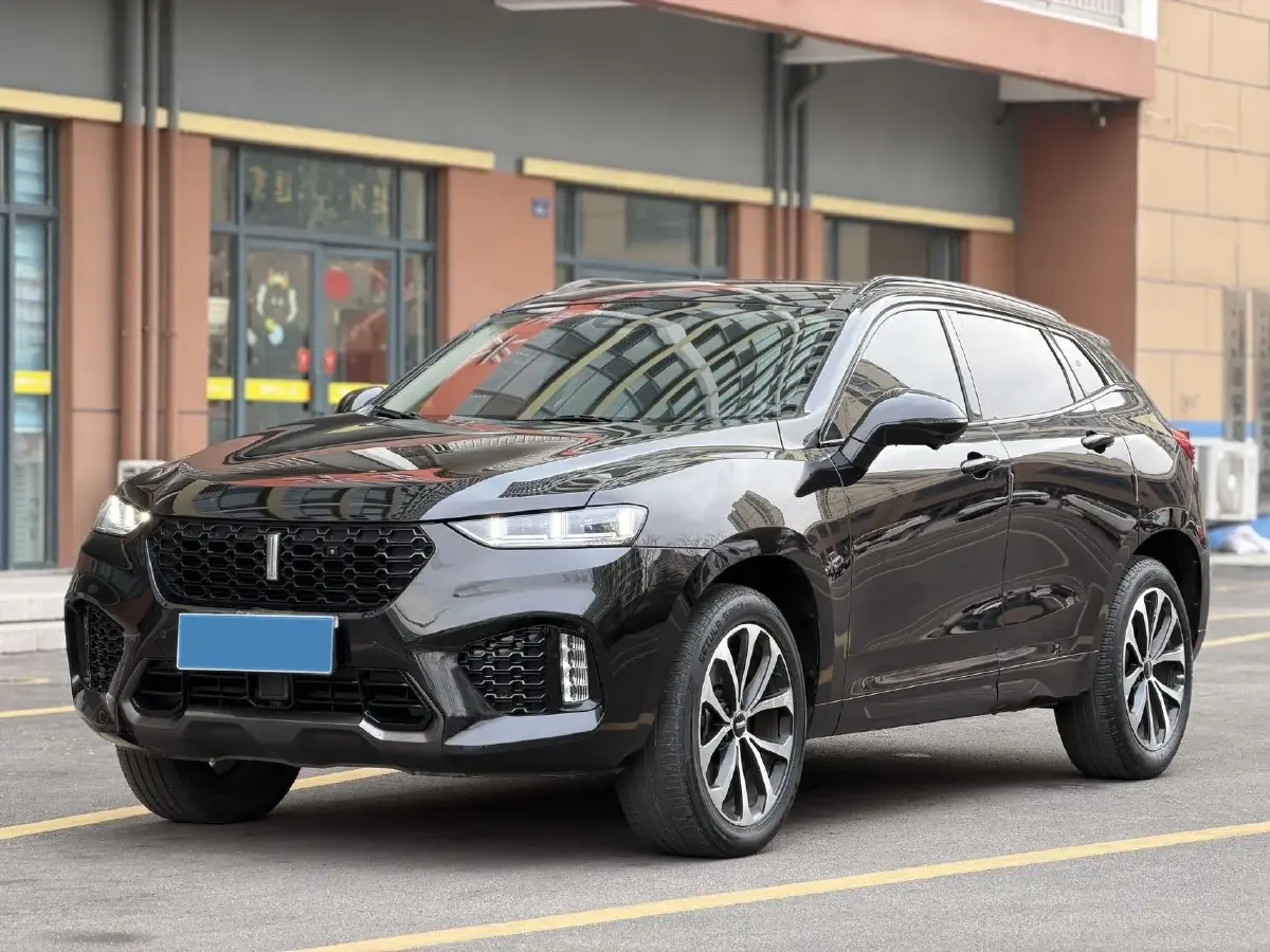 2019 WEY VV7 2.0T 234HP L4 7DCT