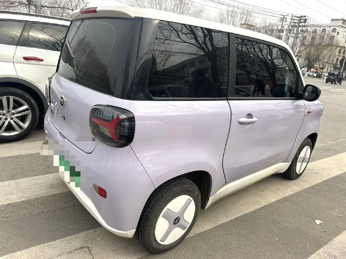 2024 ZD Rainbow BEV 17.3KWH,autocango,china used car exporter,china ev exporter,chinese used car exporter,chinese used ev exporter