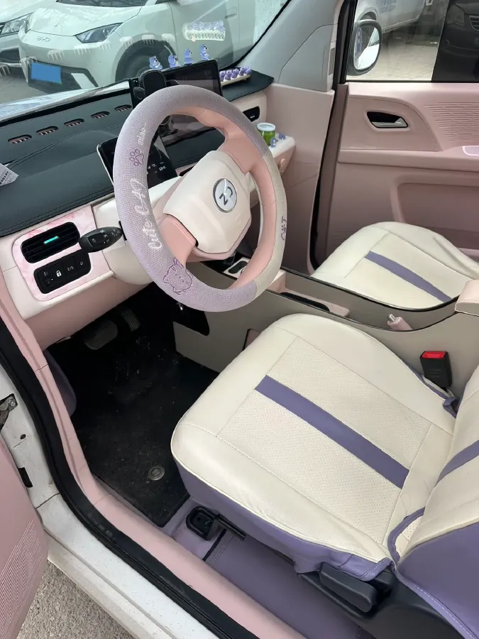 2024 ZD Rainbow BEV 17.3KWH,autocango,china used car exporter,china ev exporter,chinese used car exporter,chinese used ev exporter