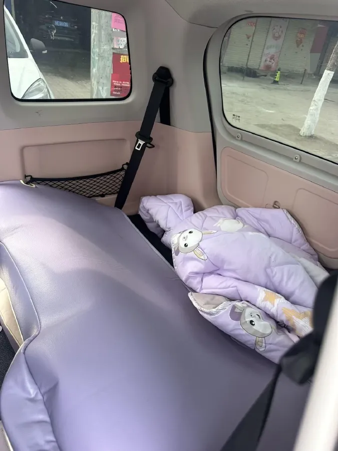 2024 ZD Rainbow BEV 17.3KWH,autocango,china used car exporter,china ev exporter,chinese used car exporter,chinese used ev exporter