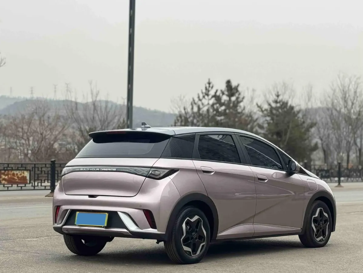 2021 BYD Yuan Pro BEV 50.1KWH,autocango,china used car exporter,china ev exporter,chinese used car exporter,chinese used ev exporter