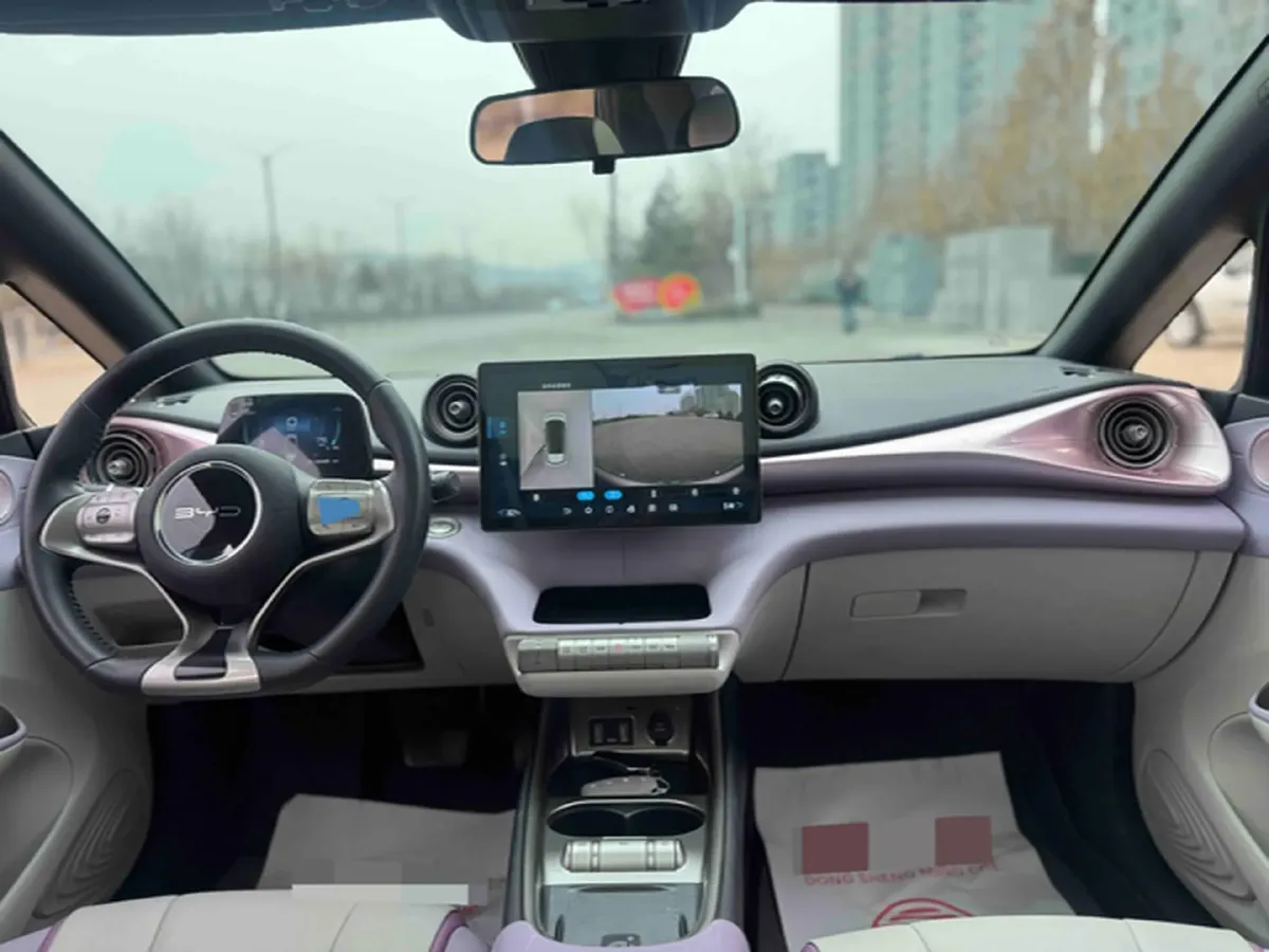 2021 BYD Yuan Pro BEV 50.1KWH,autocango,china used car exporter,china ev exporter,chinese used car exporter,chinese used ev exporter