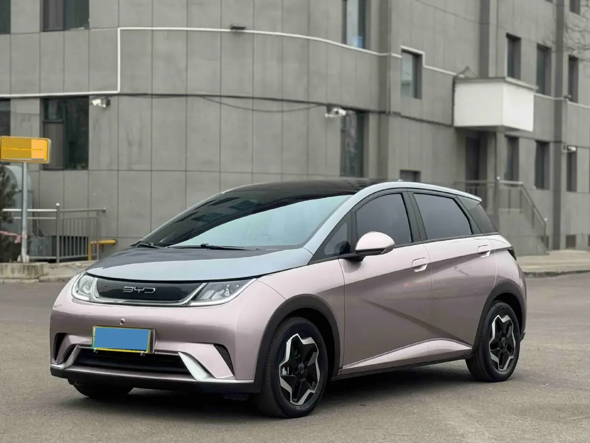 2021 BYD Yuan Pro BEV 50.1KWH