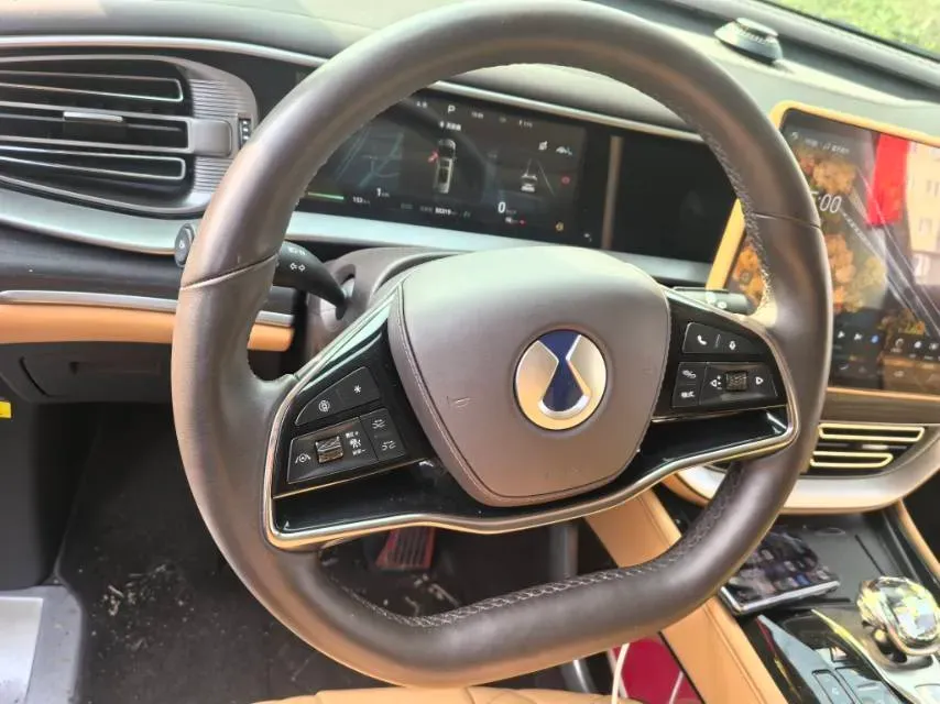 2024 Denza D9 1.5T 139HP L4 E-CVT PHEV 40KWH,autocango,china used car exporter,china ev exporter,chinese used car exporter,chinese used ev exporter