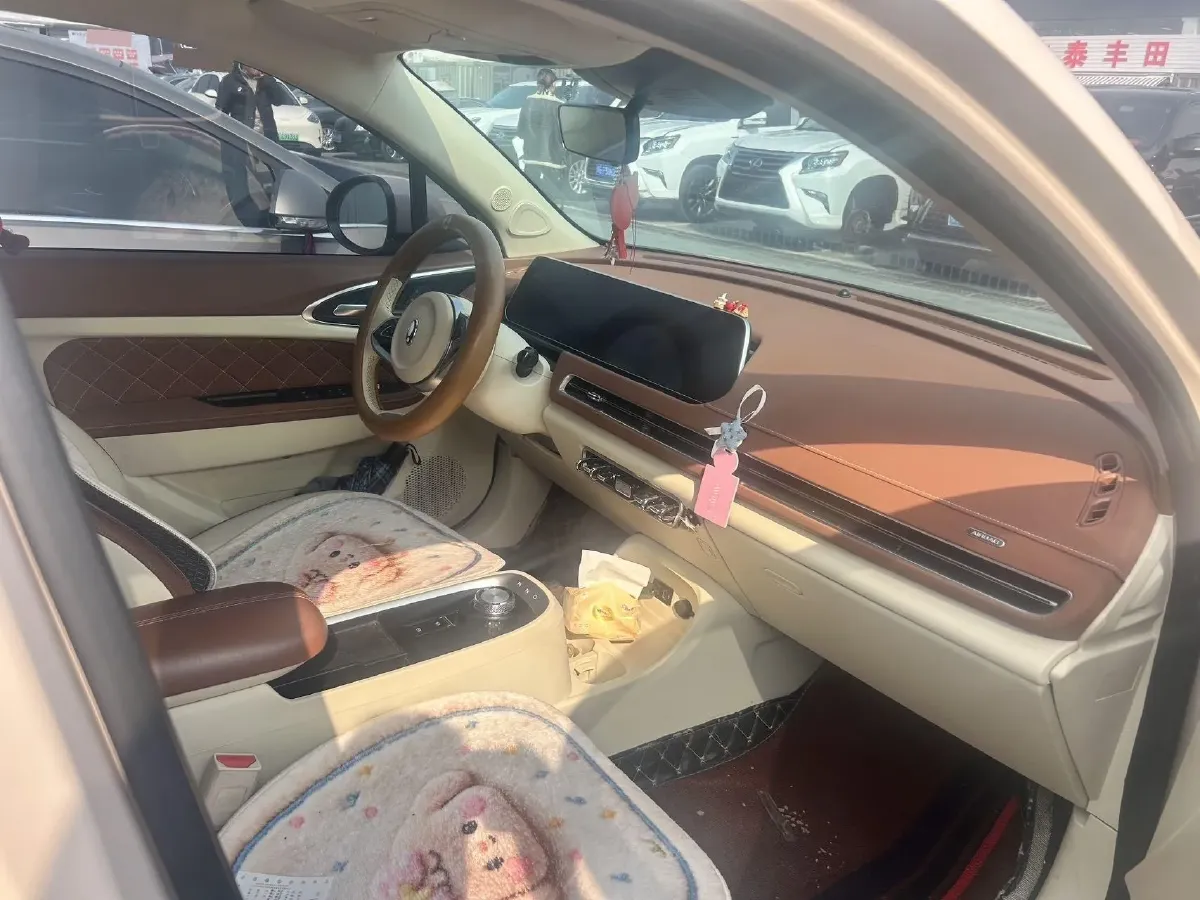 2021 Ora FunkyCat BEV 45.99KWH,autocango,china used car exporter,china ev exporter,chinese used car exporter,chinese used ev exporter