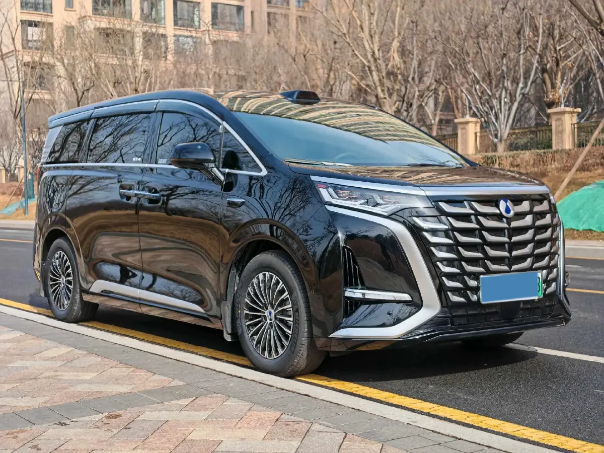 2025 Denza D9 1.5T 156HP L4 E-CVT PHEV 40KWH,autocango,china used car exporter,china ev exporter,chinese used car exporter,chinese used ev exporter