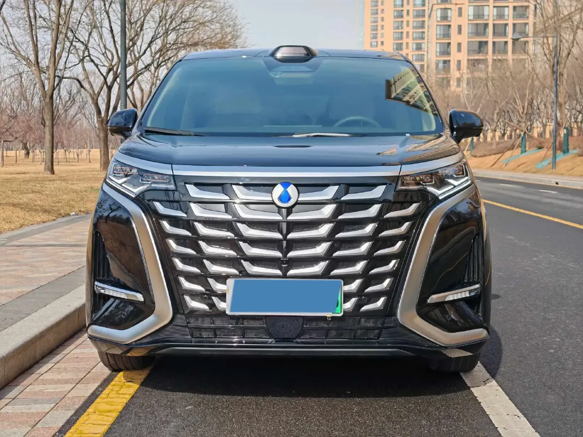 2025 Denza D9 1.5T 156HP L4 E-CVT PHEV 40KWH,autocango,china used car exporter,china ev exporter,chinese used car exporter,chinese used ev exporter
