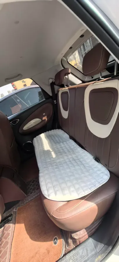 2023 WuLing BinGuo BEV 17.3KWH,autocango,china used car exporter,china ev exporter,chinese used car exporter,chinese used ev exporter