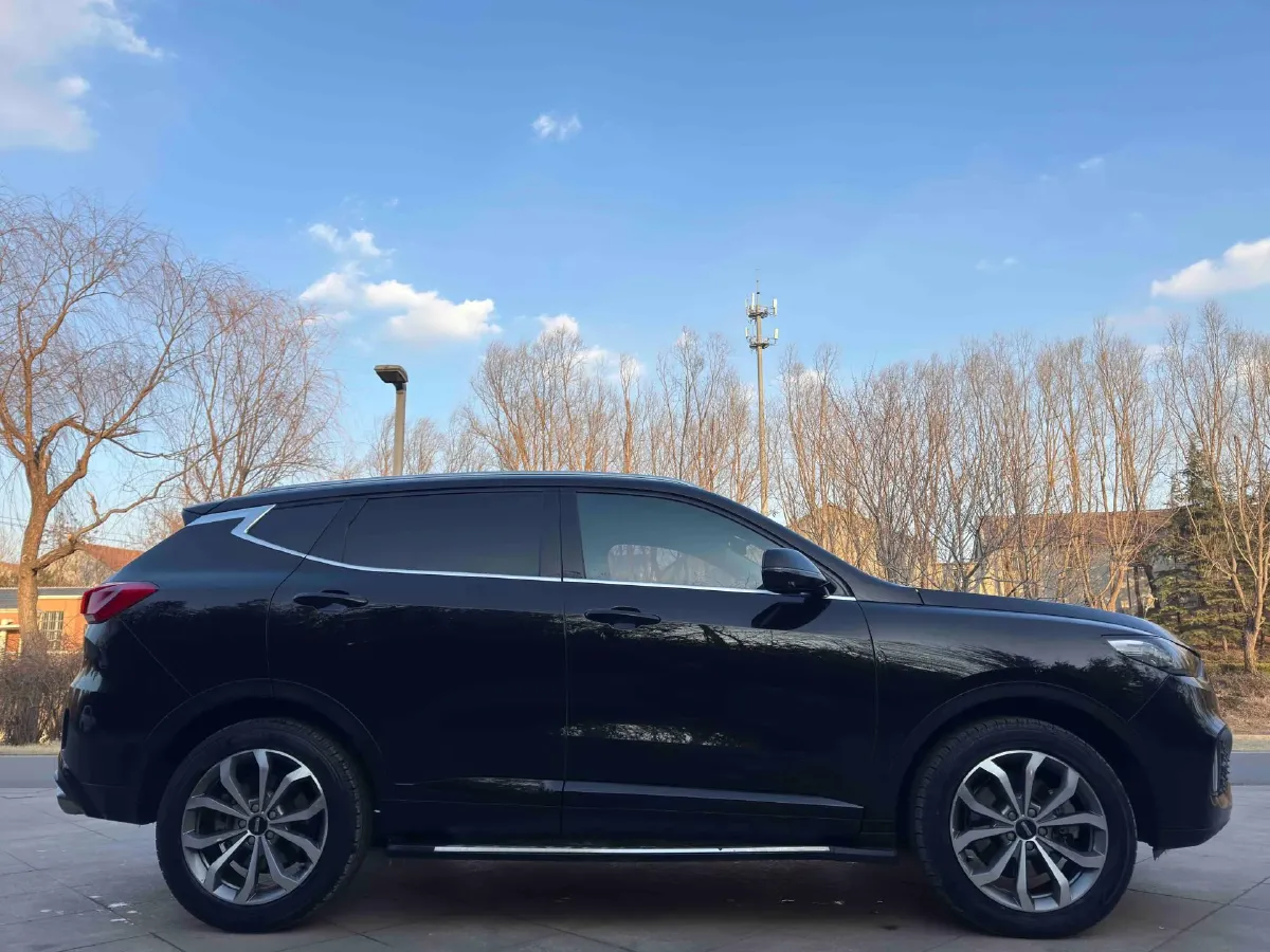 2020 WEY VV6 2.0T 227HP L4 7DCT,autocango,china used car exporter,china ev exporter,chinese used car exporter,chinese used ev exporter