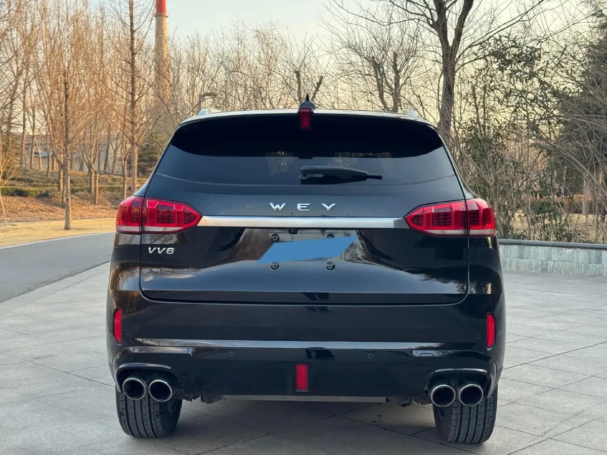 2020 WEY VV6 2.0T 227HP L4 7DCT,autocango,china used car exporter,china ev exporter,chinese used car exporter,chinese used ev exporter