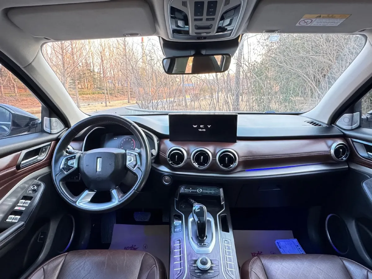 2020 WEY VV6 2.0T 227HP L4 7DCT,autocango,china used car exporter,china ev exporter,chinese used car exporter,chinese used ev exporter