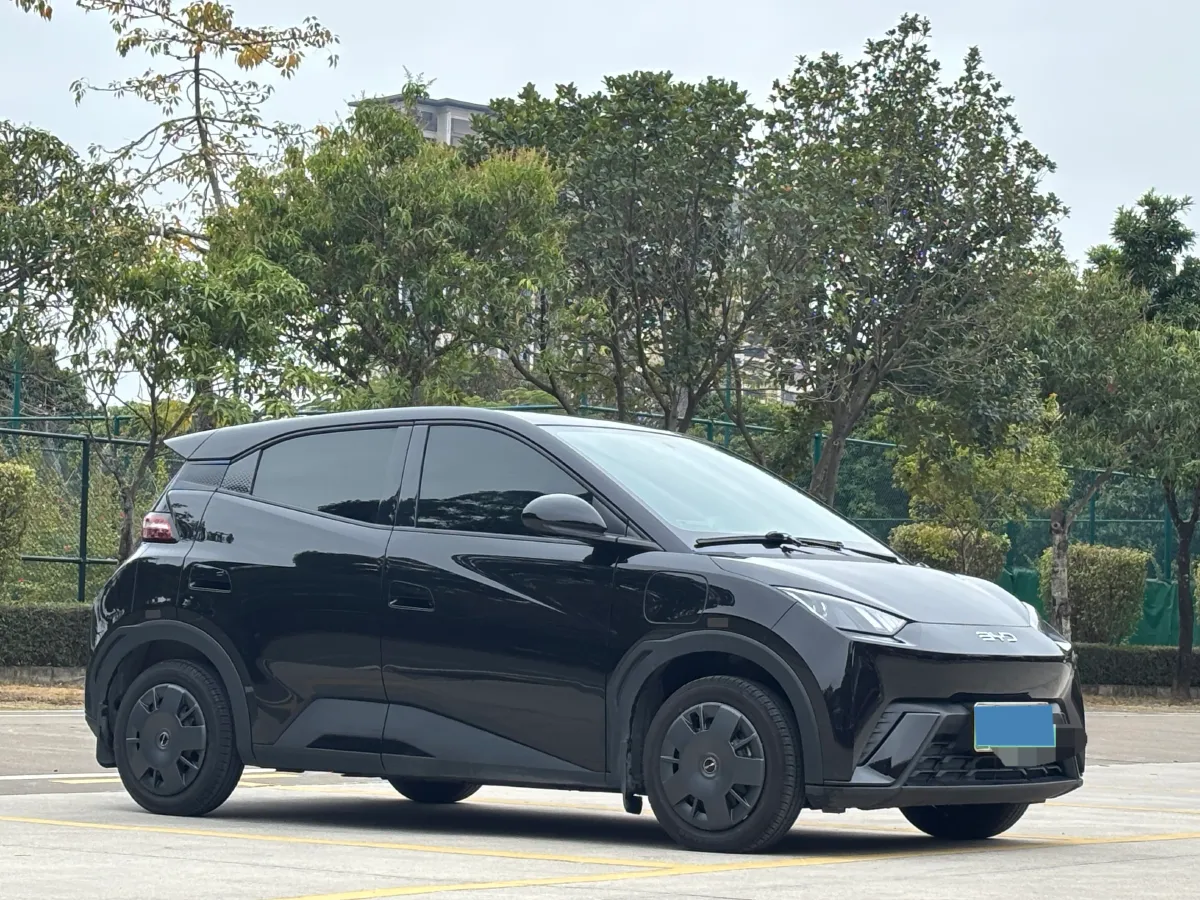 2024 BYD Seagull BEV 30.08KWH,autocango,china used car exporter,china ev exporter,chinese used car exporter,chinese used ev exporter