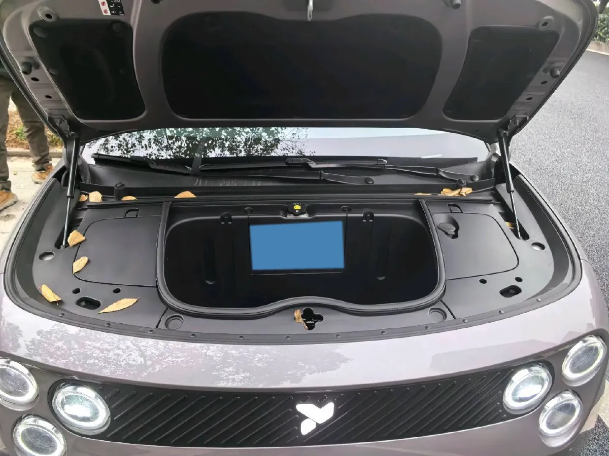 2025 Firefly Firefly BEV,autocango,china used car exporter,china ev exporter,chinese used car exporter,chinese used ev exporter