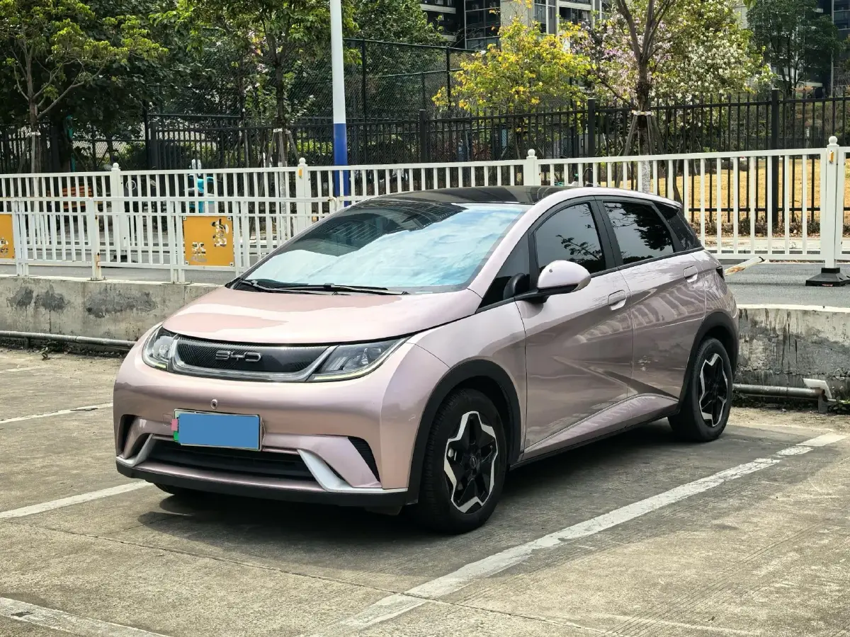 2021 BYD Yuan Pro BEV 50.1KWH