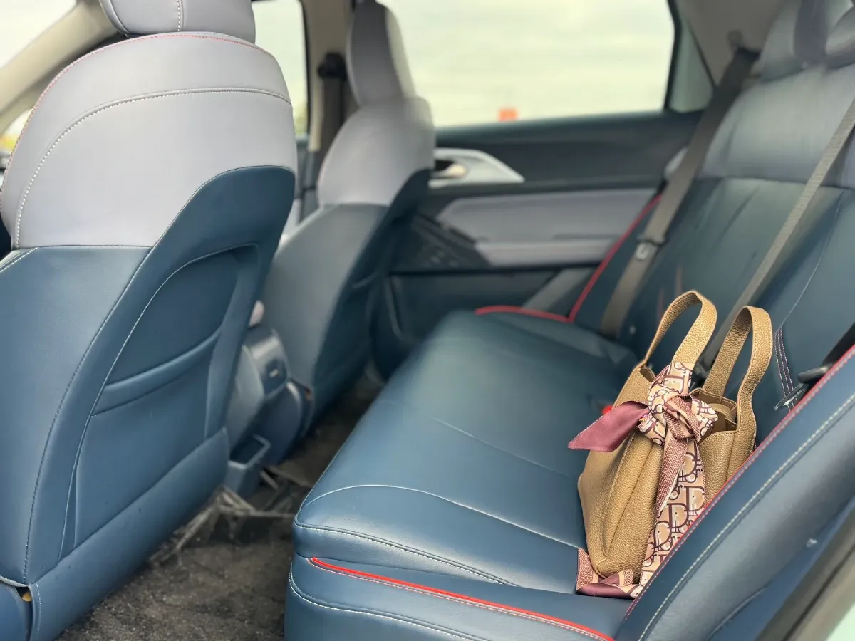 2023 Geometry E BEV 39.4KWH,autocango,china used car exporter,china ev exporter,chinese used car exporter,chinese used ev exporter