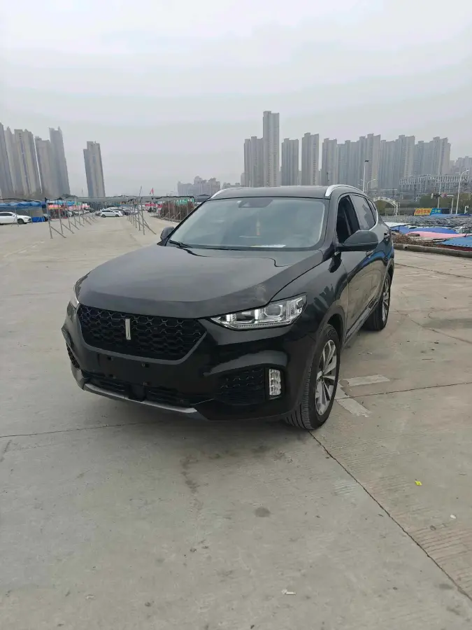 2018 WEY VV6 2.0T 197HP L4 7DCT