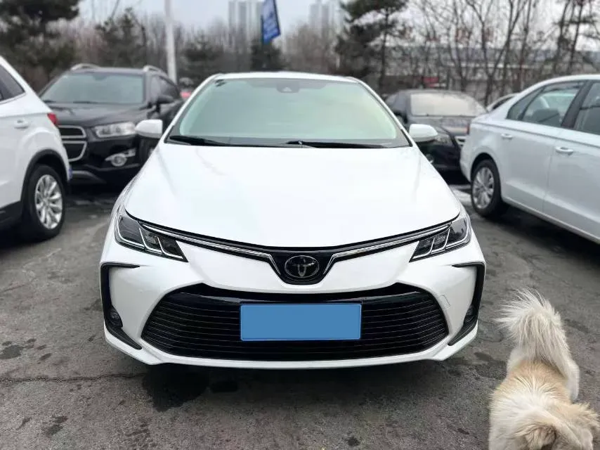 2019 Toyota Corolla 1.2T 116HP L4 CVT,autocango,china used car exporter,china ev exporter,chinese used car exporter,chinese used ev exporter