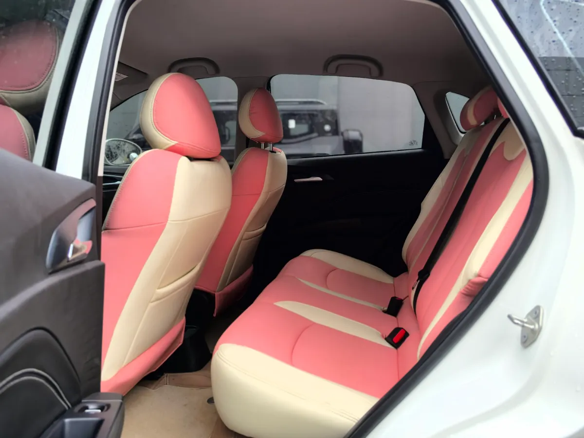 2022 Leapmotor T03 BEV 41KWH,autocango,china used car exporter,china ev exporter,chinese used car exporter,chinese used ev exporter