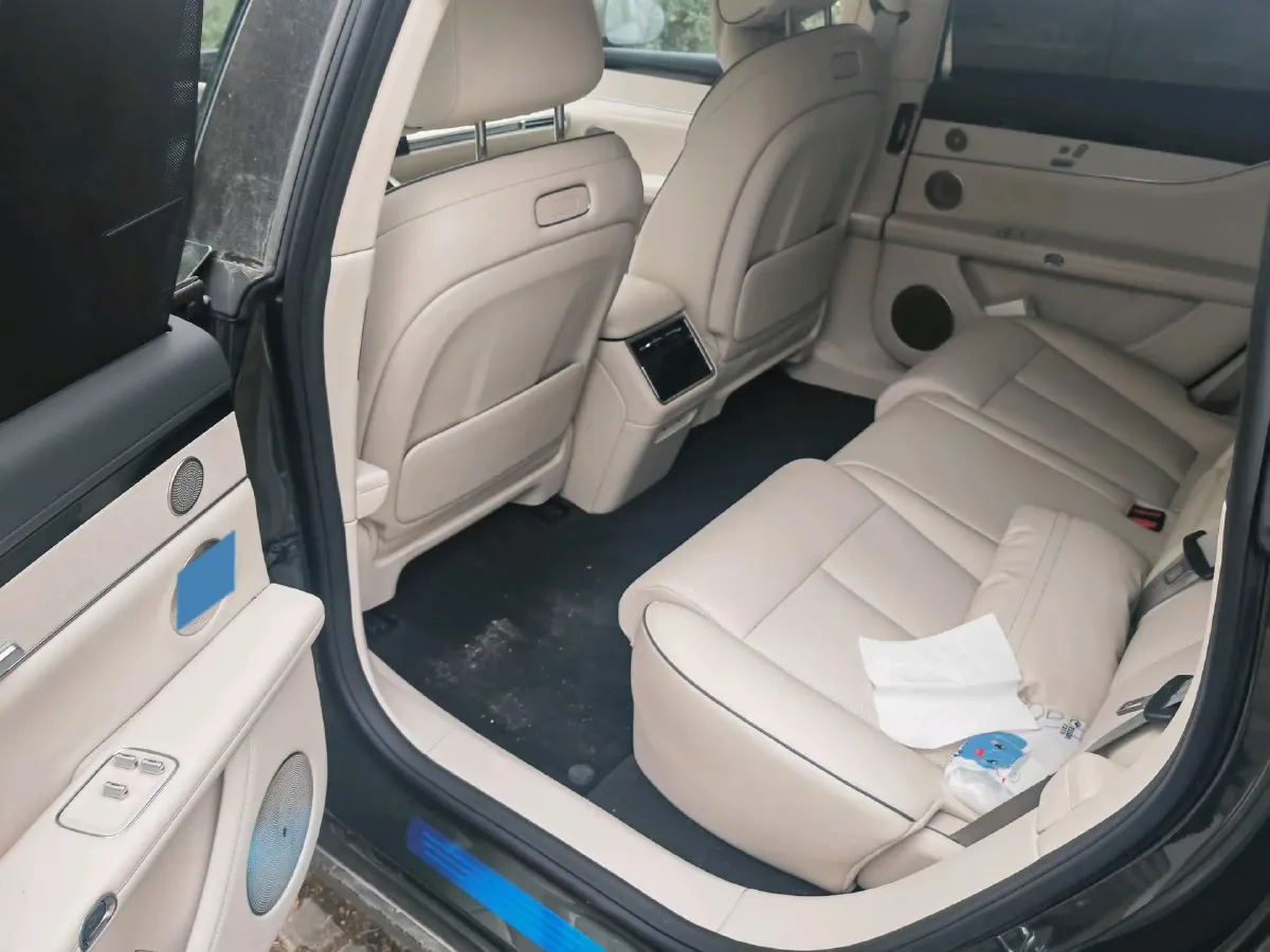 2025 HIMA Stelato S9T REEV 160HP REEV,autocango,china used car exporter,china ev exporter,chinese used car exporter,chinese used ev exporter