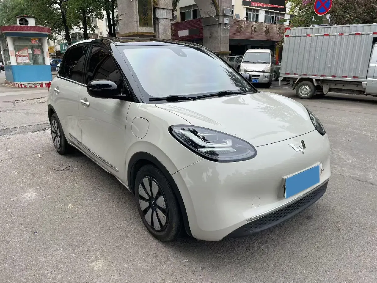 2023 WuLing BinGuo BEV 31.9KWH,autocango,china used car exporter,china ev exporter,chinese used car exporter,chinese used ev exporter