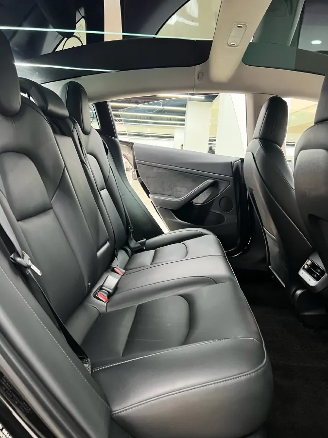 2022 Tesla Model 3 BEV 60KWH,autocango,china used car exporter,china ev exporter,chinese used car exporter,chinese used ev exporter