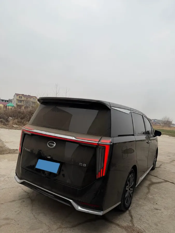 2024 GAC Trumpchi M8 2.0T 252HP L4 8AT,autocango,china used car exporter,china ev exporter,chinese used car exporter,chinese used ev exporter