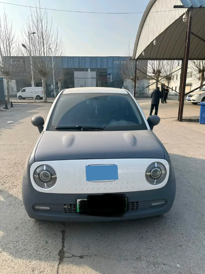 2021 Ora BlackCat BEV 33KWH,autocango,china used car exporter,china ev exporter,chinese used car exporter,chinese used ev exporter
