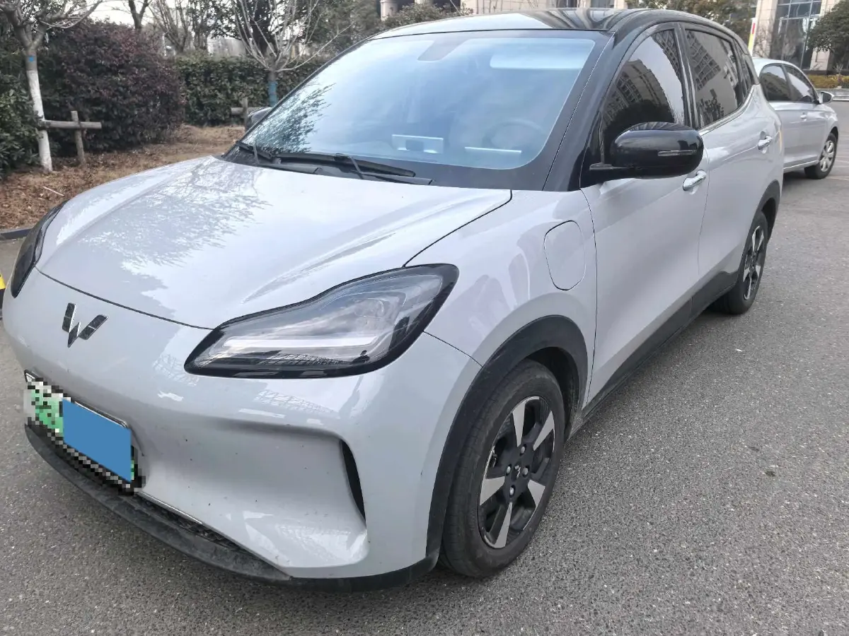 2024 WuLing BinGuoPLUS BEV 50.6KWH