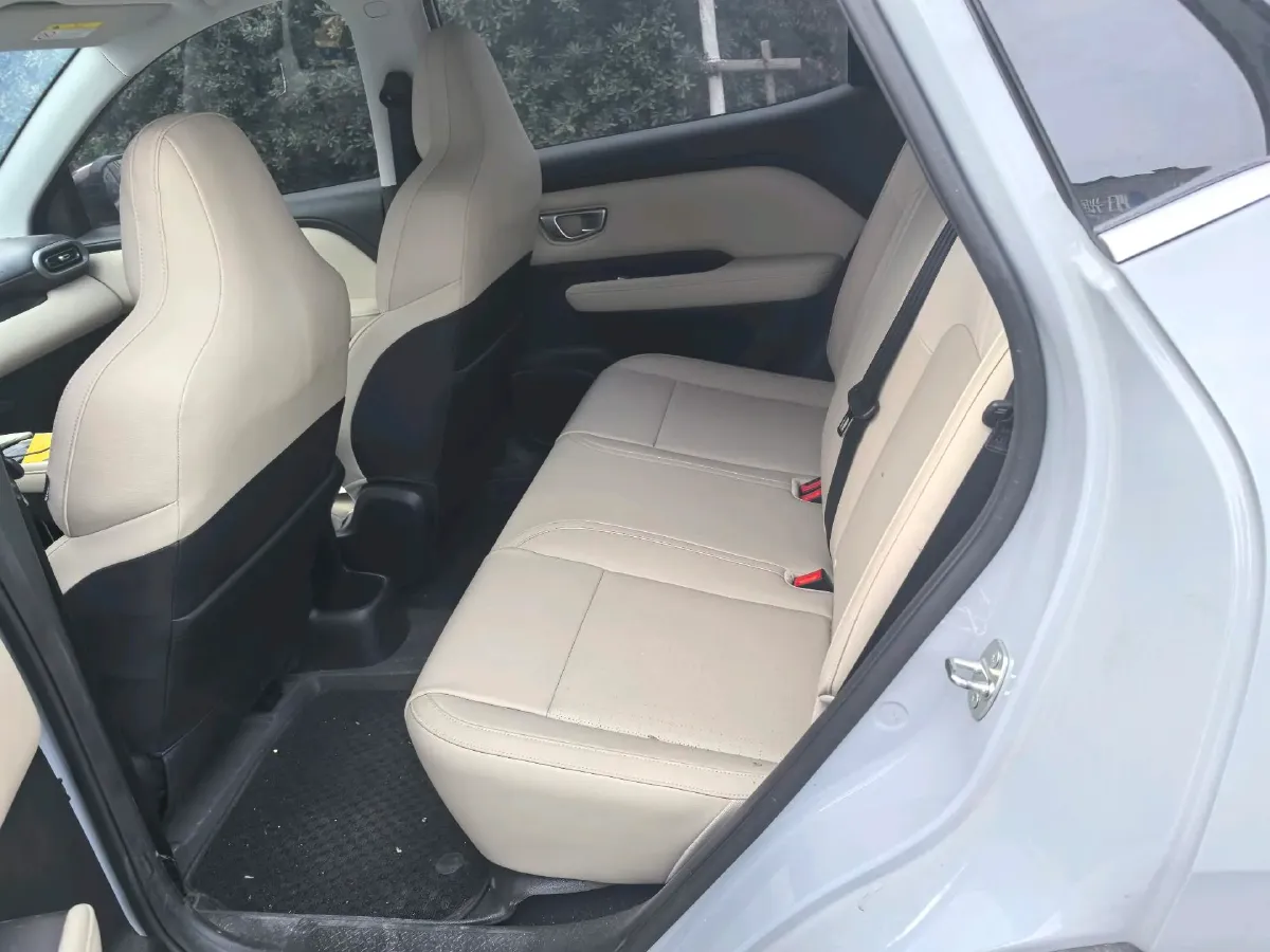 2024 WuLing BinGuoPLUS BEV 50.6KWH,autocango,china used car exporter,china ev exporter,chinese used car exporter,chinese used ev exporter