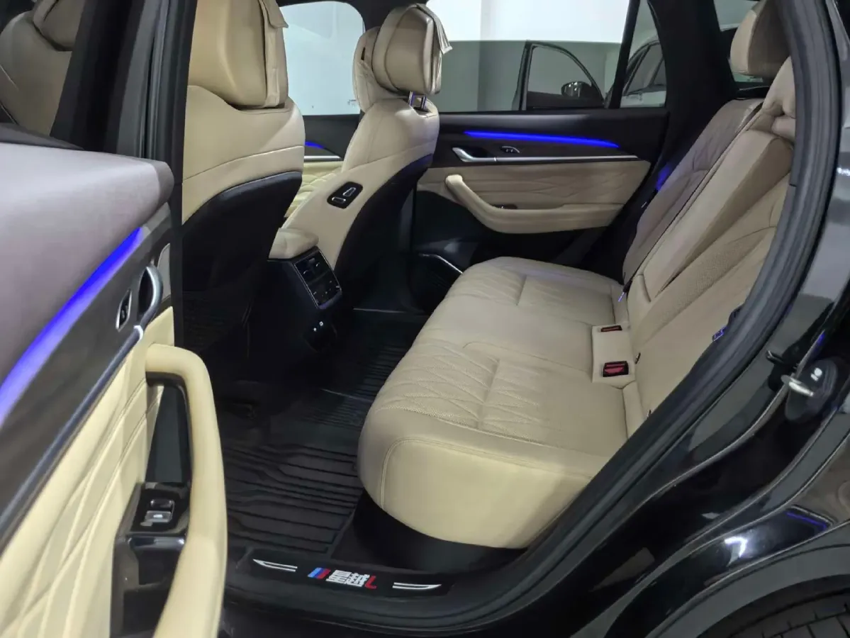 2025 Geely Monjaro 2.0T 238HP L4 8AT,autocango,china used car exporter,china ev exporter,chinese used car exporter,chinese used ev exporter