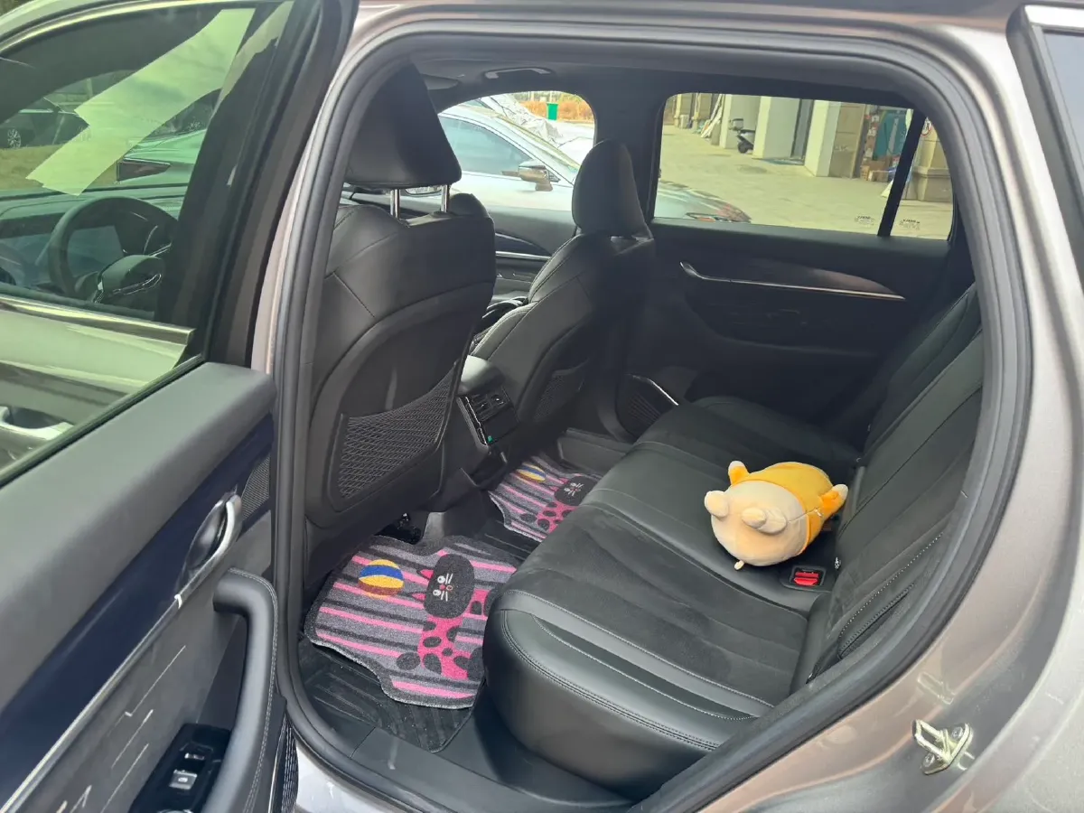 2024 Geely Monjaro 2.0T 238HP L4 8AT,autocango,china used car exporter,china ev exporter,chinese used car exporter,chinese used ev exporter